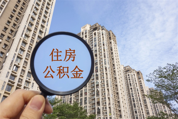 鹿邑离职多久可以取住房公积金(离职多久后能取公积金) 鹿邑离职多久可以取住房公积金(离职多久后能取公积金)